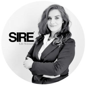 Untitled design (38)