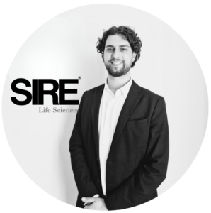 Untitled design (41)