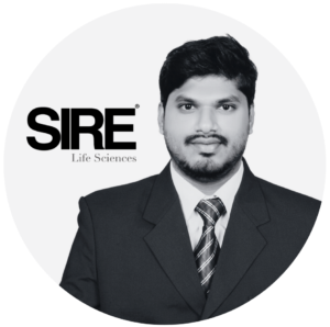 Untitled design (47)