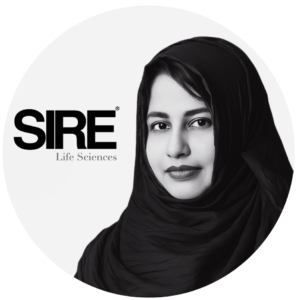 Untitled design (51)